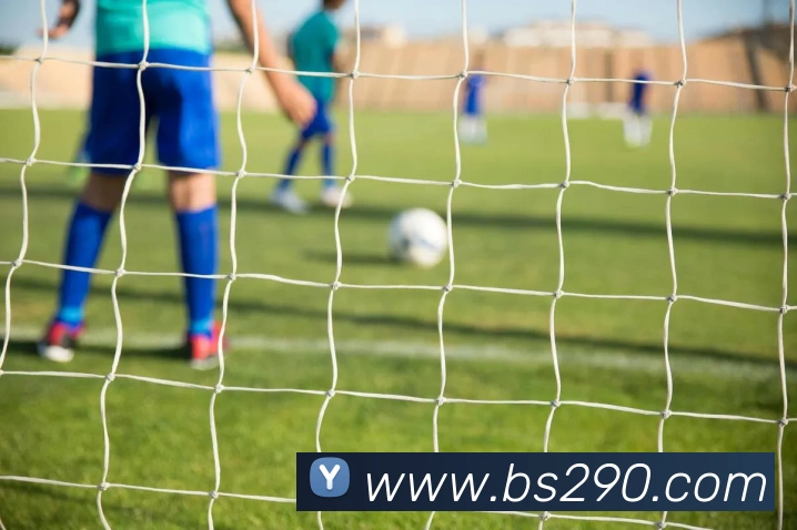 百胜彩票官网平台登录入口品牌故事